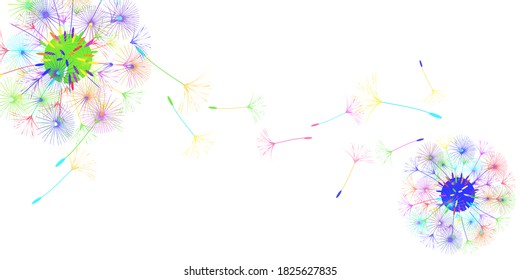 Dandelion background for your design. The wind blows dandelion seeds. Natural background. Brochure creative design. Vector template.