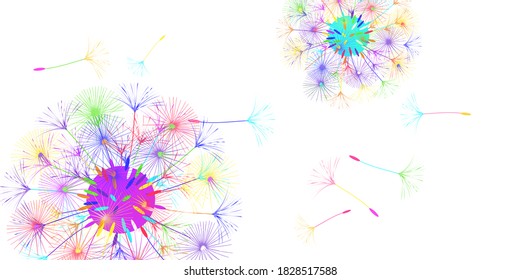 Antecedentes de Dandelion para tu diseño. El viento sopla semillas de león. Fondo natural. Diseño creativo de folleto. Plantilla de vectores.