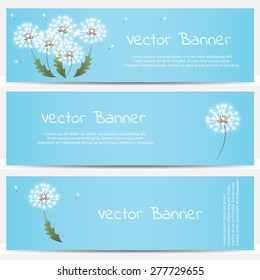 Dandelion banner on blue background. Vector illustration