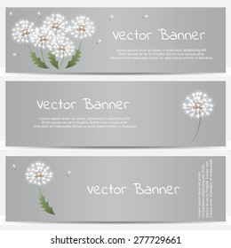 Dandelion banner on gray background. Vector illustration