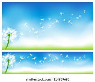 Dandelion banners