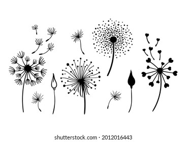 Dandelion black and white clipart bundle, elegant summer wild flowers set, botanical floral isolated elements, meadow flowers vector illustration