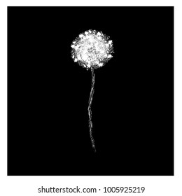 Dandelion blooming logo, flower on black background. Hand drawn,Sketch, doodle. Painted  modern style design. Fashion print for clothes, cards, picture banner for websites. Vector illustration