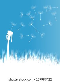 Dandelion blow vector background concept