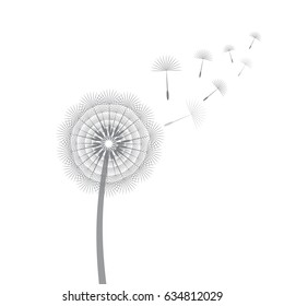 Dandelion blowing from the breeze. Vector illustration.