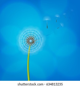Dandelion blowing from the breeze. Vector illustration.