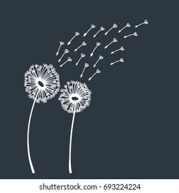 Dandelion blowing silhouette isolated on white background. Vector illustration, eps 10.
