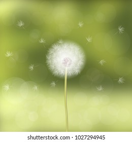 Dandelion blown by the wind, against a background of green blurred forest. Natural appearance. Spring mood. Soft color palette. 10 eps