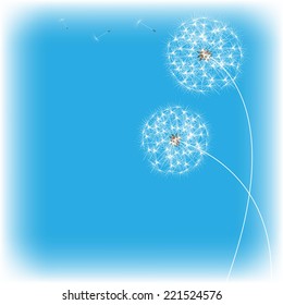 dandelion blue