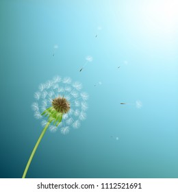 Dandelion With Blue Background With Gradient Mesh, Vector Illustration