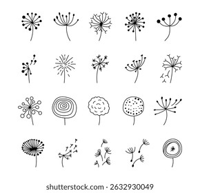 Dandelion botanical plant line set featuring fragile floral elements hand drawn for yours illustration and creative designs projects seasonal delicate bloom themed