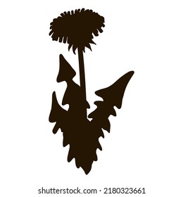 Dandelion botanical silhouette vector icon. Flower contour image. Hand drawn isolated illustration for prints, designs, cards. Web, mobile