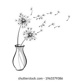The Dandelion bouquet in vase with flying seeds.