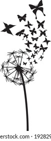 Dandelion with butterflies vector illustration