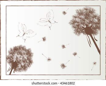 Dandelion and butterfly illustrated