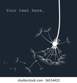 dandelion card with place for text Vector