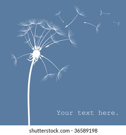 Dandelion card with place for text Vector