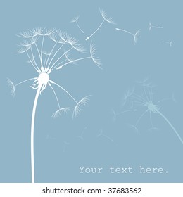 Dandelion card with place for text Vector