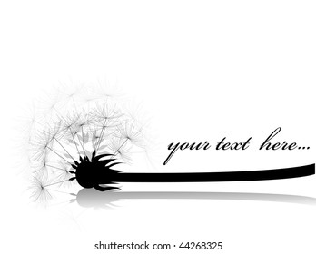  dandelion card with place for text Vector