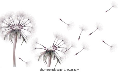 Dandelion card Vector watercolor. Summer floral frame decor