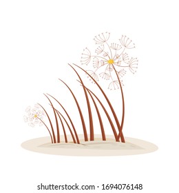 Dandelion cartoon vector illustration. Spring foliage grow from ground. Garden summer grass. Seasonal pollination. Blowball flat color object. Flower heads isolated on white background