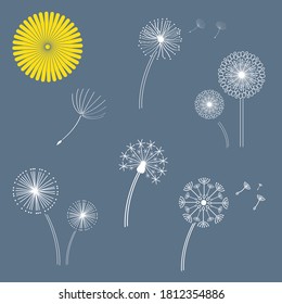 Dandelion and dandelion clock icons