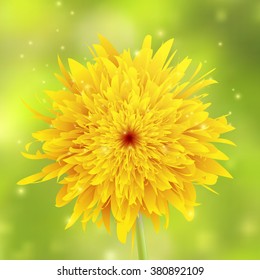 Dandelion closeup on a green blurred background with sparkles, vector illustration.
