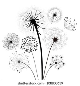 Dandelion Collection