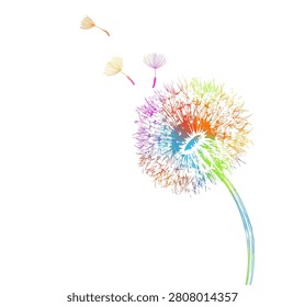 Dandelion colored Hand drawn. Not AI, vector illustration