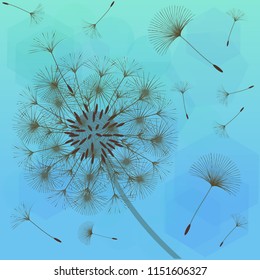 Dandelion for design. Abstract background . The wind blows the seeds of a dandelion. Template for posters, wallpapers, posters. Vector illustrations.