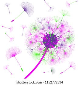 Dandelion for design. Abstract background . The wind blows the seeds of a dandelion. Template for posters, wallpapers, posters. Vector illustrations.