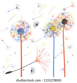 Dandelion for design. Abstract background . The wind blows the seeds of a dandelion. Template for posters, wallpapers, posters. Vector illustrations.