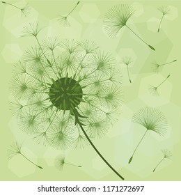 Dandelion for design. Abstract background . The wind blows the seeds of a dandelion. Template for posters, wallpapers, posters. Vector illustrations.