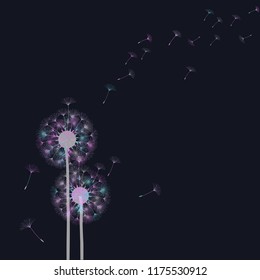 Dandelion for design. Abstract background . The wind blows the seeds of a dandelion. Template for posters, wallpapers, posters. Vector illustrations.