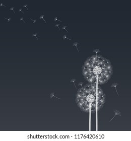 Dandelion for design. Abstract background . The wind blows the seeds of a dandelion. Template for posters, wallpapers, posters. Vector illustrations.