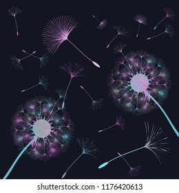 Dandelion for design. Abstract background . The wind blows the seeds of a dandelion. Template for posters, wallpapers, posters. Vector illustrations.