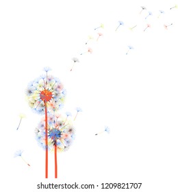 Dandelion for design. Abstract background . The wind blows the seeds of a dandelion. Template for posters, wallpapers, posters. Vector illustrations.