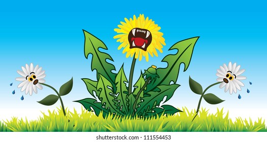 Dandelion Domination