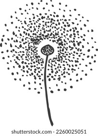 Dandelion drawing. Black ink flower sketch icon