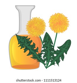 Dandelion essential oil vector illustration. Aromatherapy. Health care
