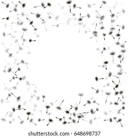 Dandelion feather fluff frame with round place for text illustration. Black and white. Vector dandelion seeds pattern. Floral background design with plant elements. 