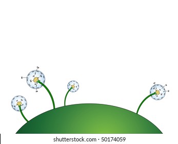 dandelion field