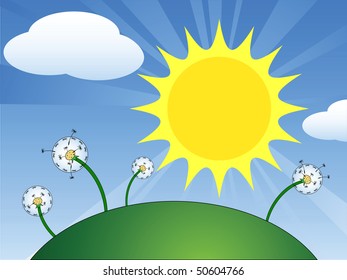 dandelion field under a blue sky