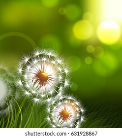 Dandelion field vector spring conceptual background