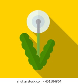 Dandelion flat icon illustration isolated vector sign symbol