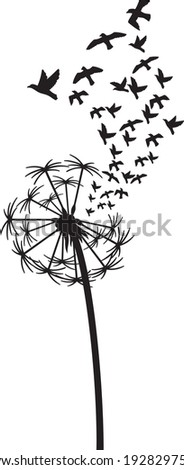 Dandelion with flock of flying birds 