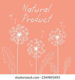 dandelion floral banner natural product