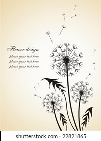 Dandelion. Floral design.