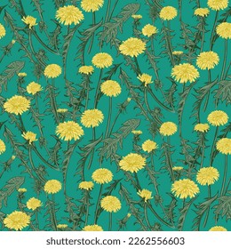 Dandelion floral seamless pattern. Yellow flowers on teal background. Vector illustration