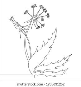 Dandelion. Flover. continuous single drawn one line